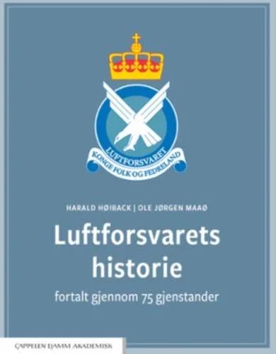 Arbeidserfaring