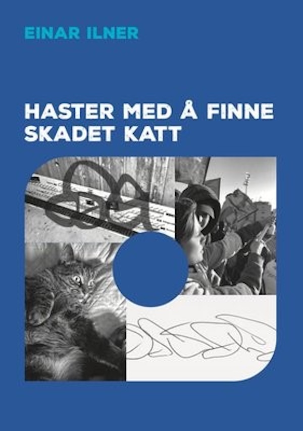 Ilner - Haster med å finne skadet katt