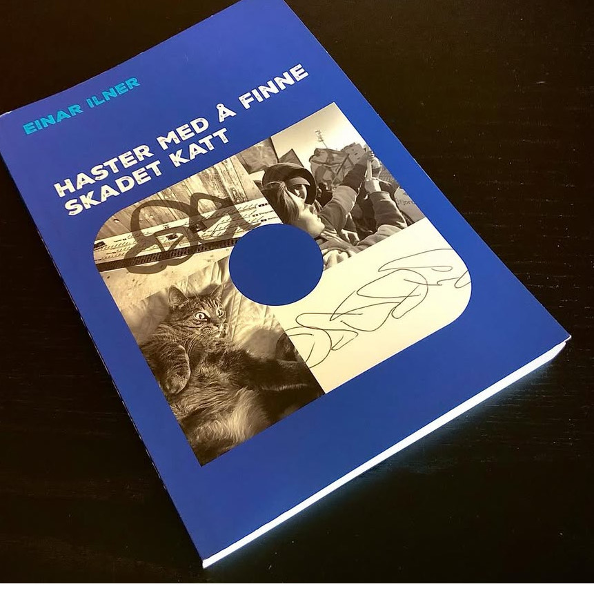 Haster med å finne skadet katt av Einar Ilner