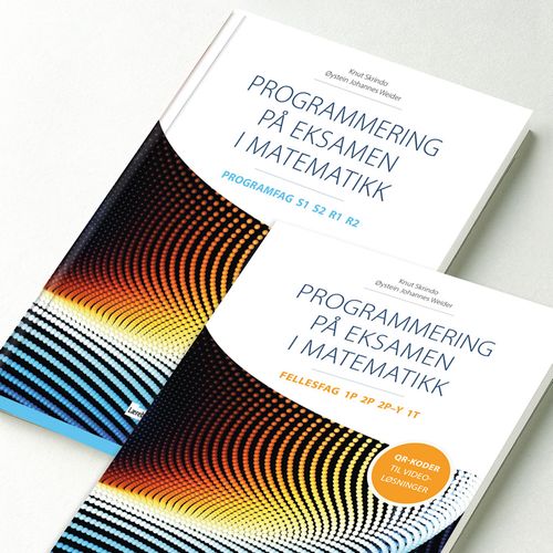 Arbeidserfaring