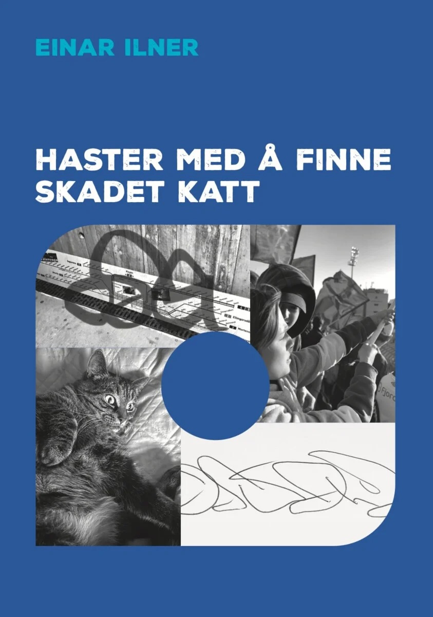 Haster med å finne skadet katt - Einar Ilner