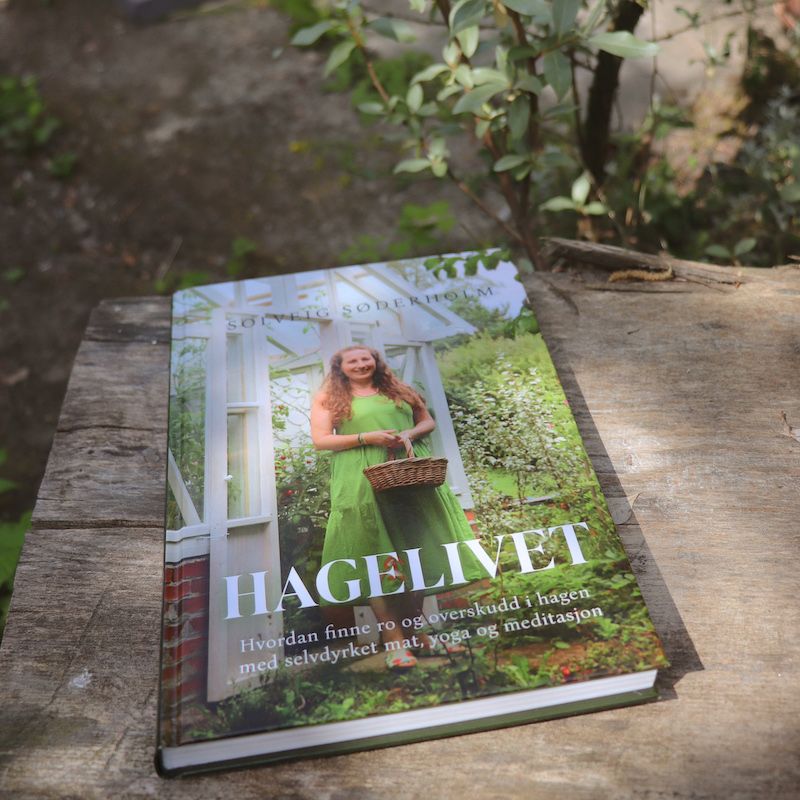 Hagelivet-foto-Solveig-Soderholmbilde15.jpg